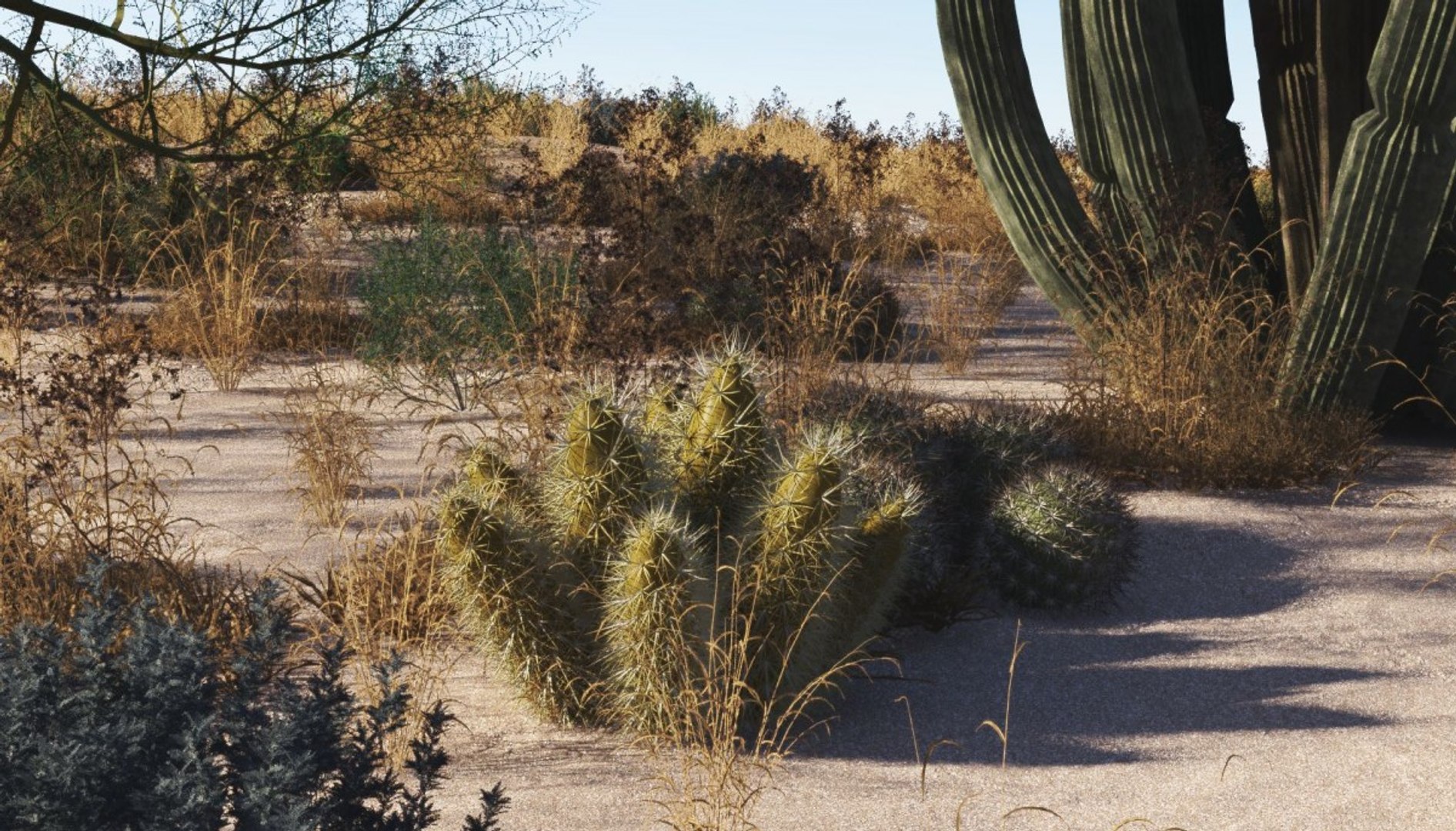 usa southwest plants dvd 3ds https://p.turbosquid.com/ts-thumb/Fx/G5aE2U/25/southwest14_frank_basinski/jpg/1617133755/1920x1080/fit_q87/db1e9b3028f401b4097be3987b4c8ce2298a4116/southwest14_frank_basinski.jpg