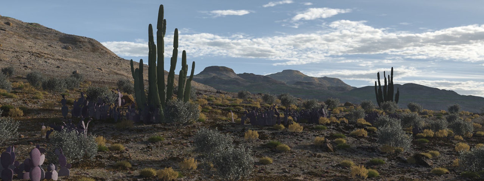 usa southwest plants dvd 3ds https://p.turbosquid.com/ts-thumb/Fx/G5aE2U/39/0325robertchoronzukterragen_1366411464/jpg/1617133751/1920x1080/fit_q87/df941ed0c9c109c028c09d8f81446c2ba320548e/0325robertchoronzukterragen_1366411464.jpg