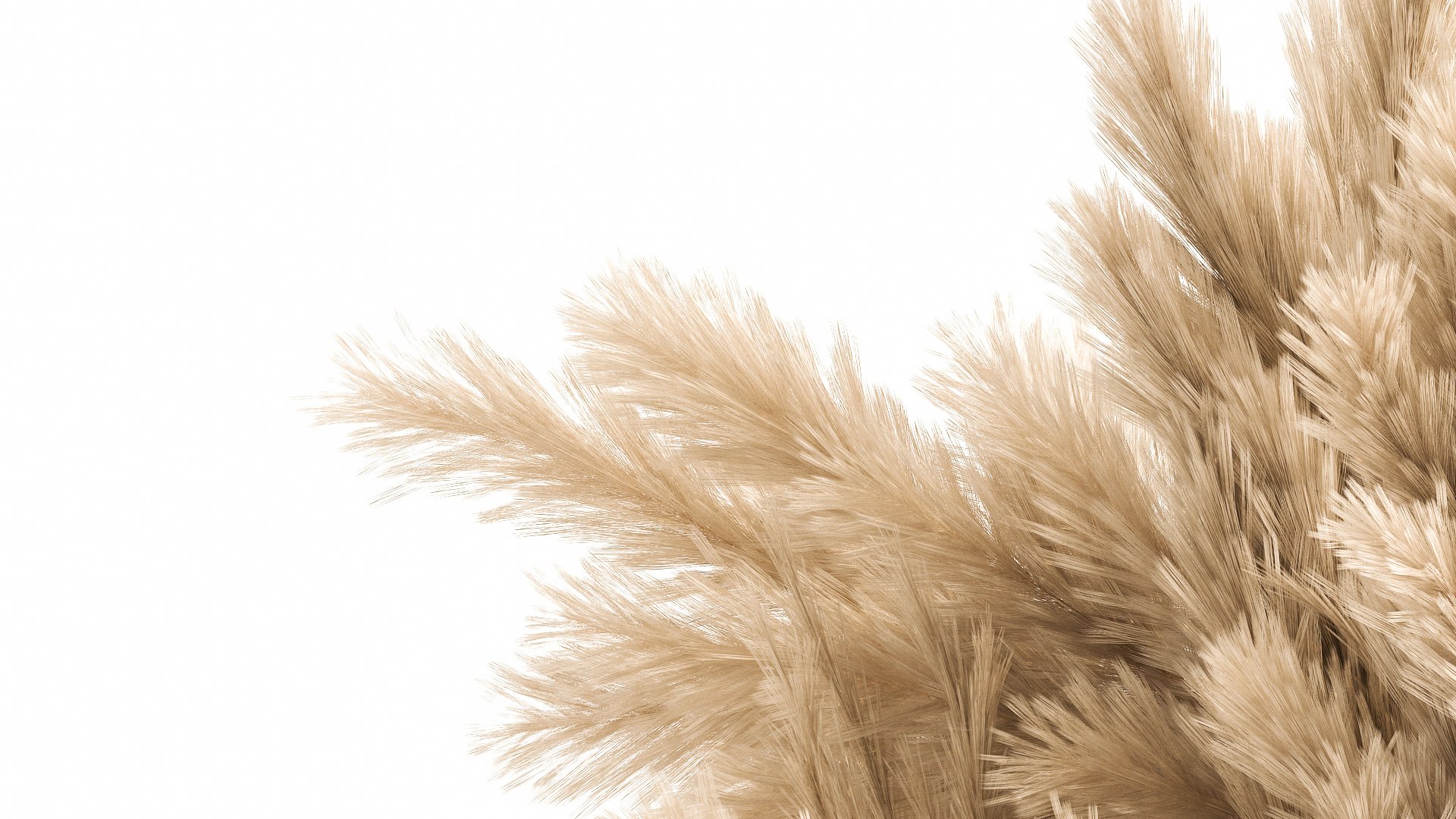 Bouquet Of Dried Reeds In A Vase 122 3D Model - TurboSquid 1765795