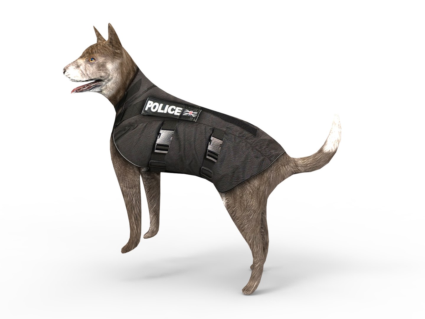 police german shepherd dog rigged 3D model https://p.turbosquid.com/ts-thumb/Fx/pmyPwr/8S34Eqn9/rigggg.452/jpg/1503735026/1920x1080/fit_q87/1b368d3c3760fc9604409646623f716e859450b9/rigggg.452.jpg
