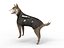 chien de berger allemand de police truqué