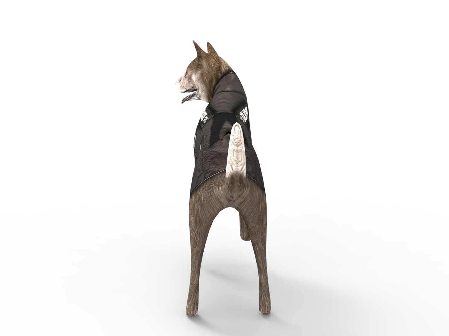 police german shepherd dog rigged 3D model https://p.turbosquid.com/ts-thumb/Fx/pmyPwr/VY5ZIOjI/rigggg.453/jpg/1503735026/1920x1080/fit_q87/10ba25855c01e1c95112058767166c0f22cd0f6b/rigggg.453.jpg