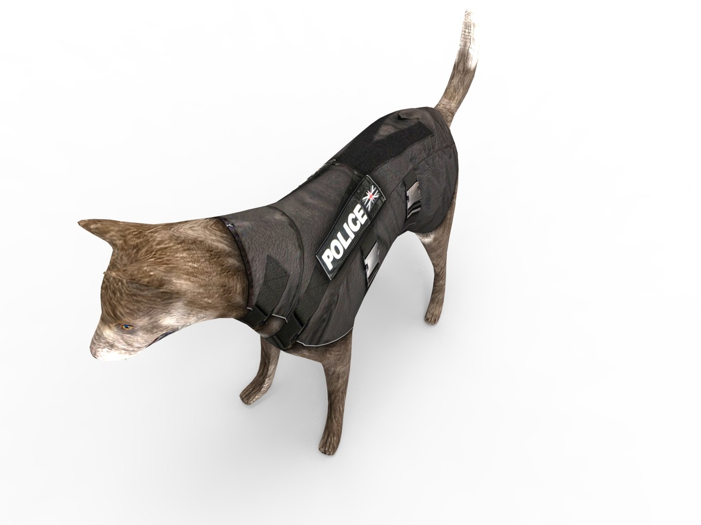 police german shepherd dog rigged 3D model https://p.turbosquid.com/ts-thumb/Fx/pmyPwr/w8BZkKvN/rigggg.458/jpg/1503735026/1920x1080/fit_q87/1b07e054dd6c5483254d4d7ad5f8e0bebbdc4290/rigggg.458.jpg