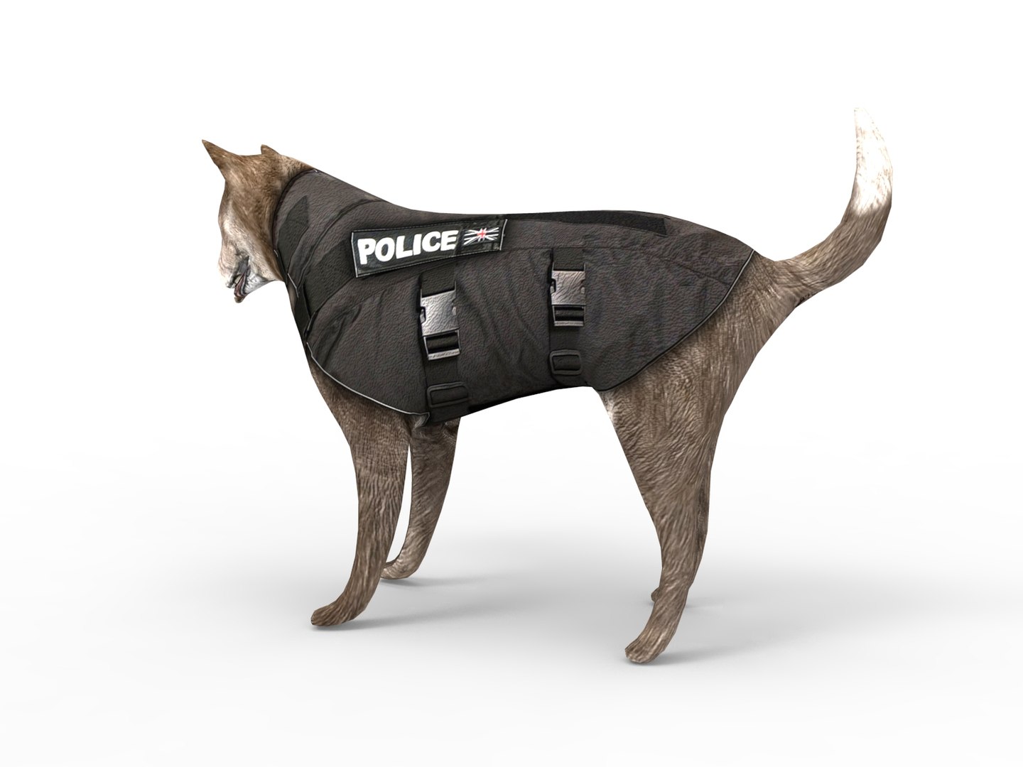 police german shepherd dog rigged 3D model https://p.turbosquid.com/ts-thumb/Fx/pmyPwr/z3NWcpXX/rigggg.461/jpg/1503735026/1920x1080/fit_q87/57c6e1922a928da0c5ee27fd49d4f965a8868010/rigggg.461.jpg