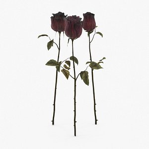 dead roses group max