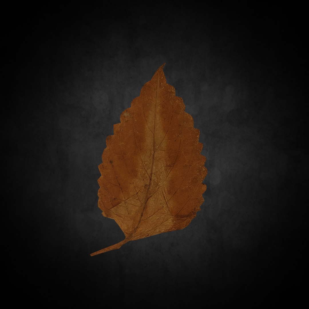 Low Poly Leaf 022 3D https://p.turbosquid.com/ts-thumb/Fx/sw1efd/GR/04/png/1644380462/1920x1080/fit_q87/e8c6996c1b932a12e49b9e9fe183860783583283/04.jpg