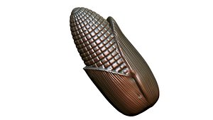 3D maize for 3D printing model