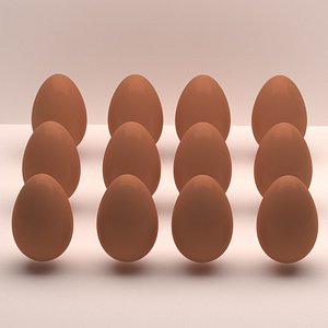 Egg model