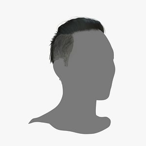 3D Male Hair - 021