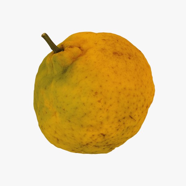 Tangerine - Real-Time 3D Scanned 3D model