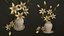 Zimmerpflanzen- und Blumen-Bundle