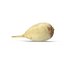 White Radish
