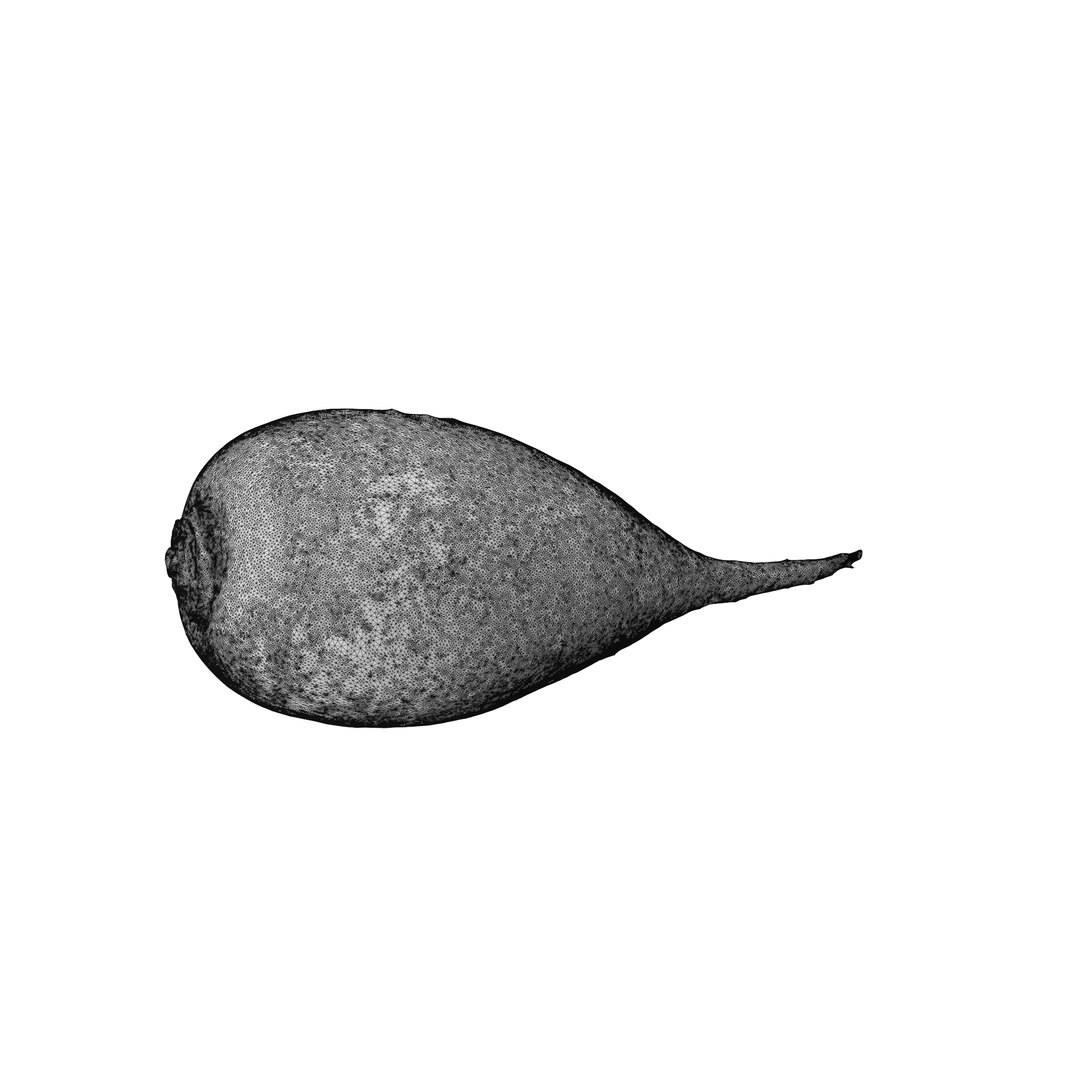 White Radish 3D model https://p.turbosquid.com/ts-thumb/Fy/edlzN2/JN/64645/png/1746390884/1920x1080/fit_q87/47f172a4a7b48372195f98cd779cb1a11871f40d/64645.jpg