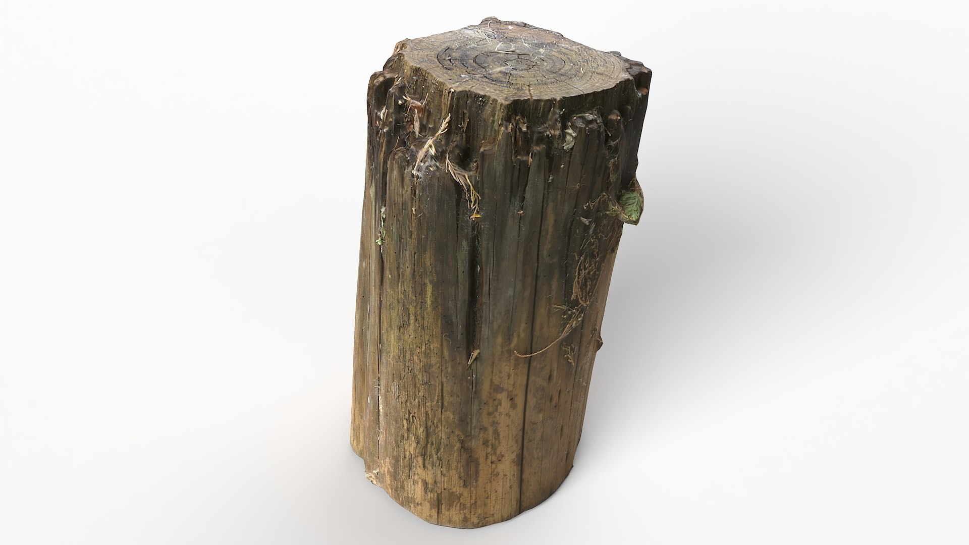 3D Tree Stump 29 https://p.turbosquid.com/ts-thumb/Fy/liZHI4/Fb/tree_stump29_07/jpg/1690551489/1920x1080/fit_q87/a5fb352263b399fc6ef6cbcdd690083f86a71a72/tree_stump29_07.jpg