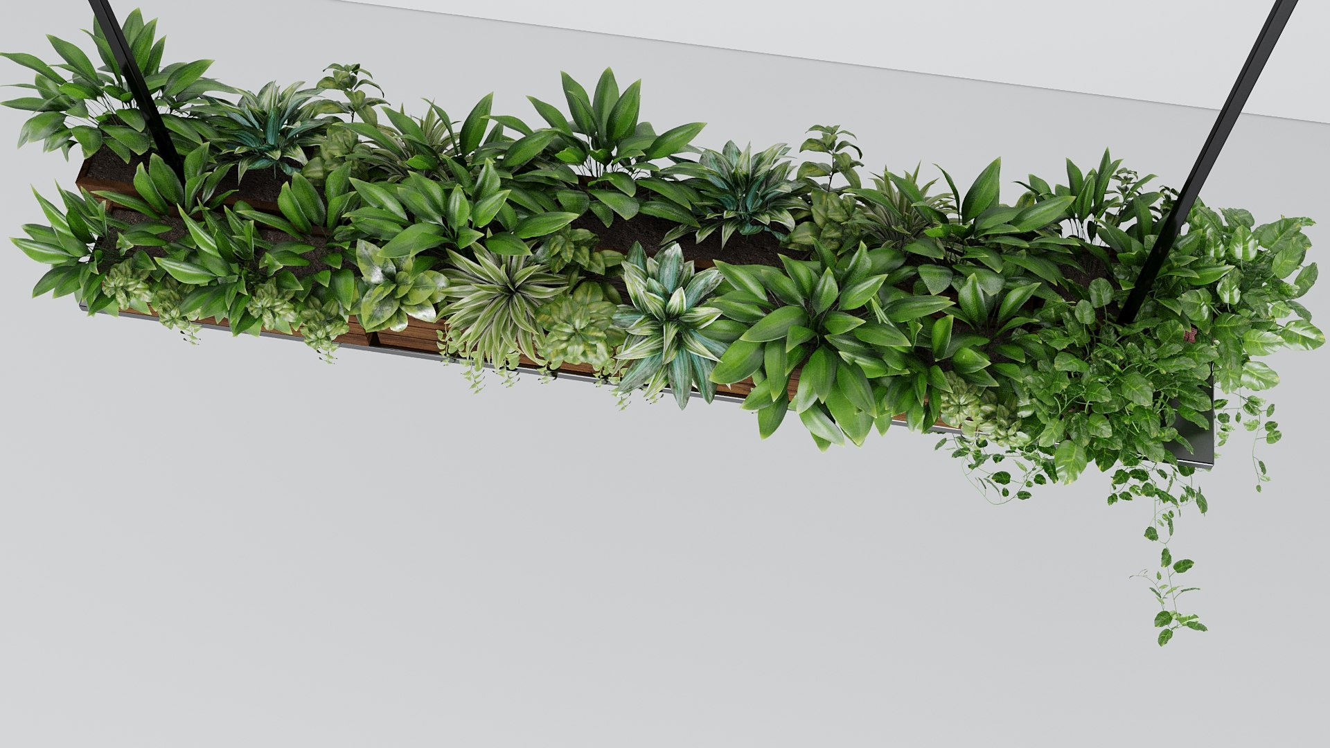 3D Model Hanging Plant - TurboSquid 2145409