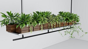 3D model Hanging plant