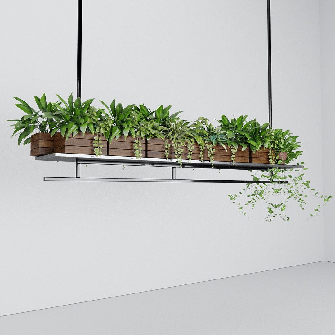 3D Model Hanging Plant - TurboSquid 2145409