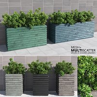 Shrubs in Wooden Planters