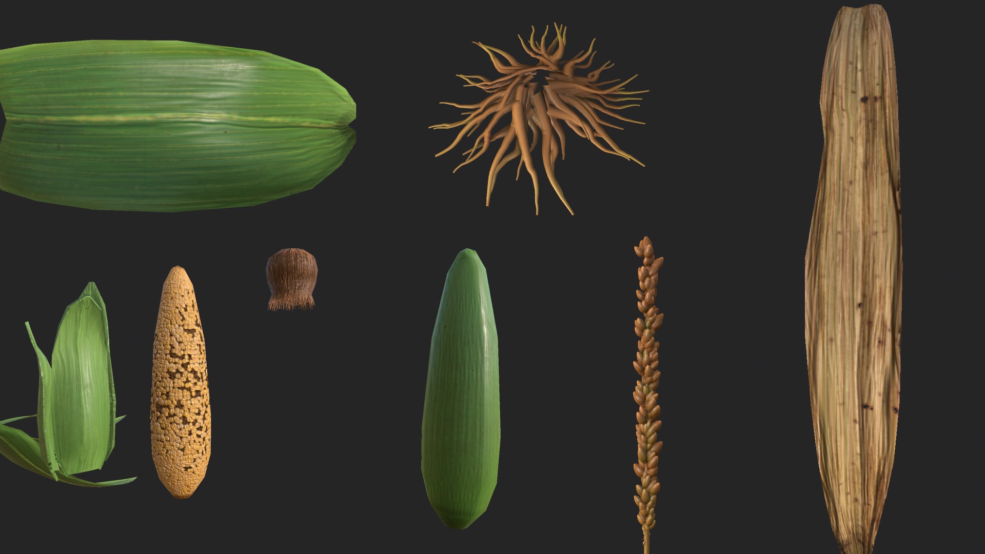 Modular Corn 3D Model - TurboSquid 2030933