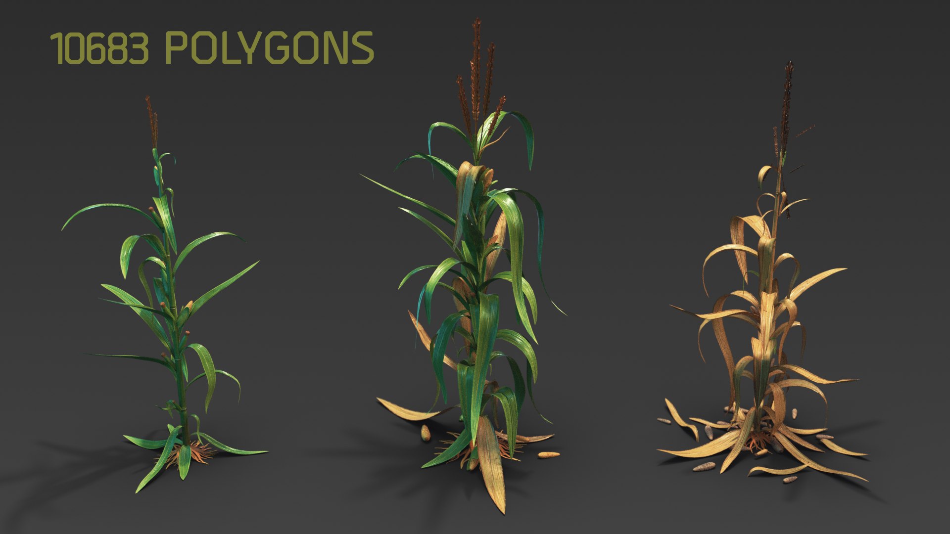 Modular Corn 3D Model - TurboSquid 2030933