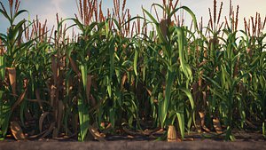 Modular corn