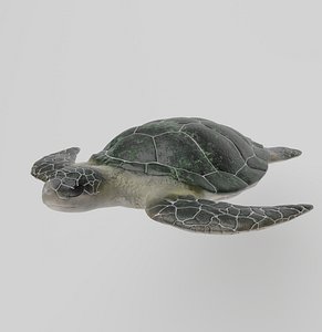 3D model sea turtle