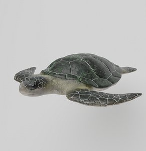 sea turtle
