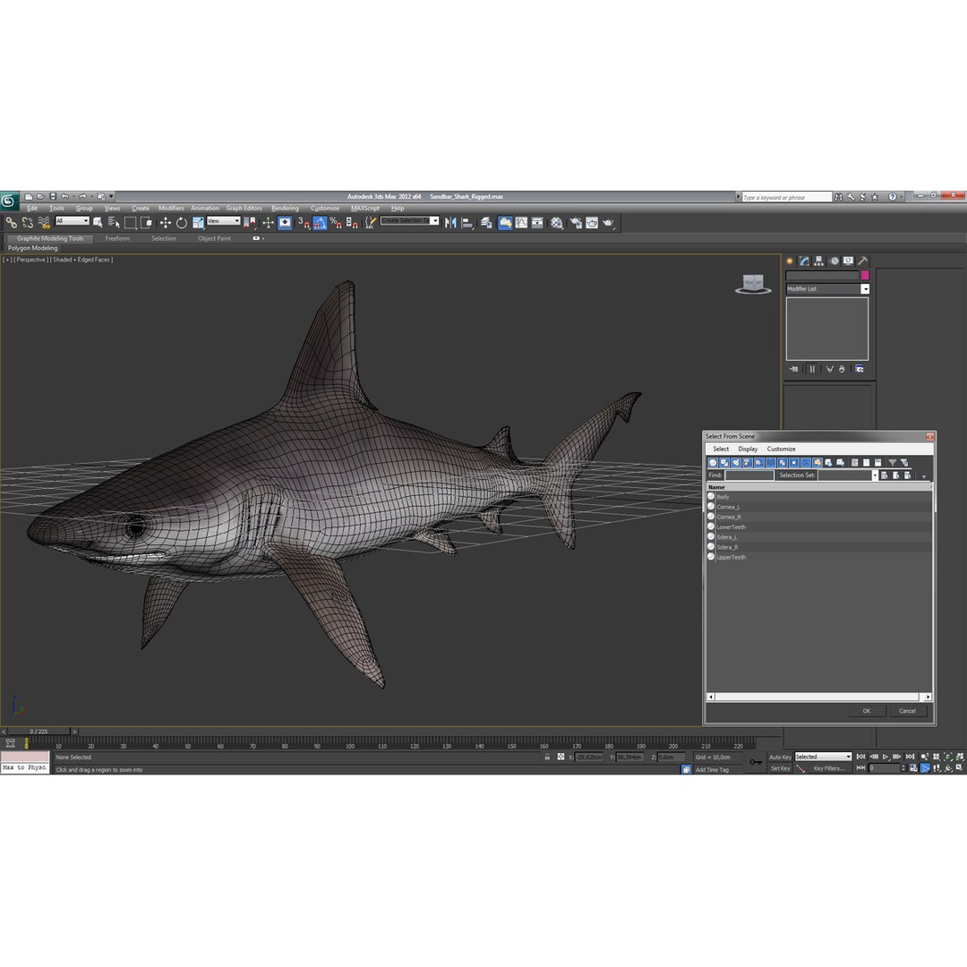sandbar shark max https://p.turbosquid.com/ts-thumb/Fz/AunbEs/T4bwhnbP/sandbarshark3dmodel21/jpg/1453577785/1920x1080/fit_q87/094e38e1ca9bdc75b473cdaac2a96fe3b39484c6/sandbarshark3dmodel21.jpg