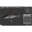 Sandbar Shark 3D Model