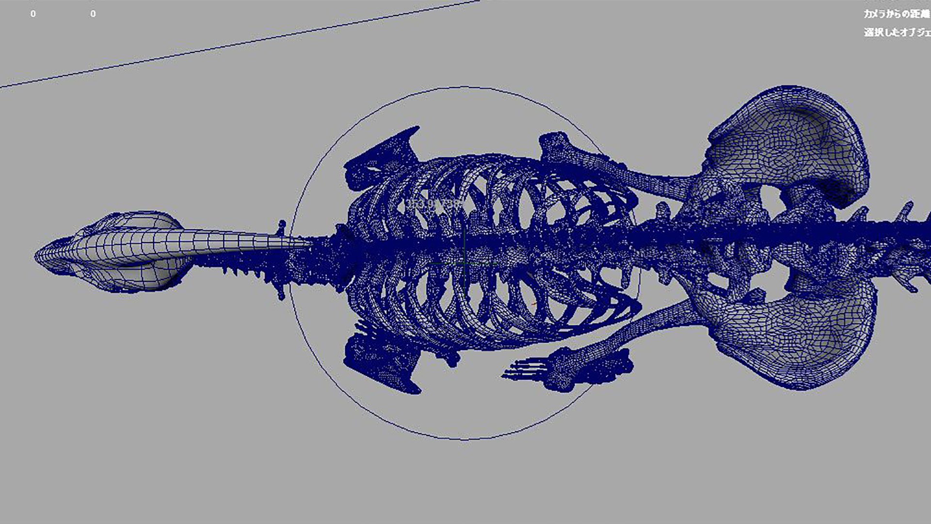 3D model Dinosaurbone https://p.turbosquid.com/ts-thumb/Fz/GMTcrZ/Tr/cap_04/jpg/1617699433/1920x1080/fit_q87/a35bcdb0b140463657df424e70b6835ab16a8443/cap_04.jpg