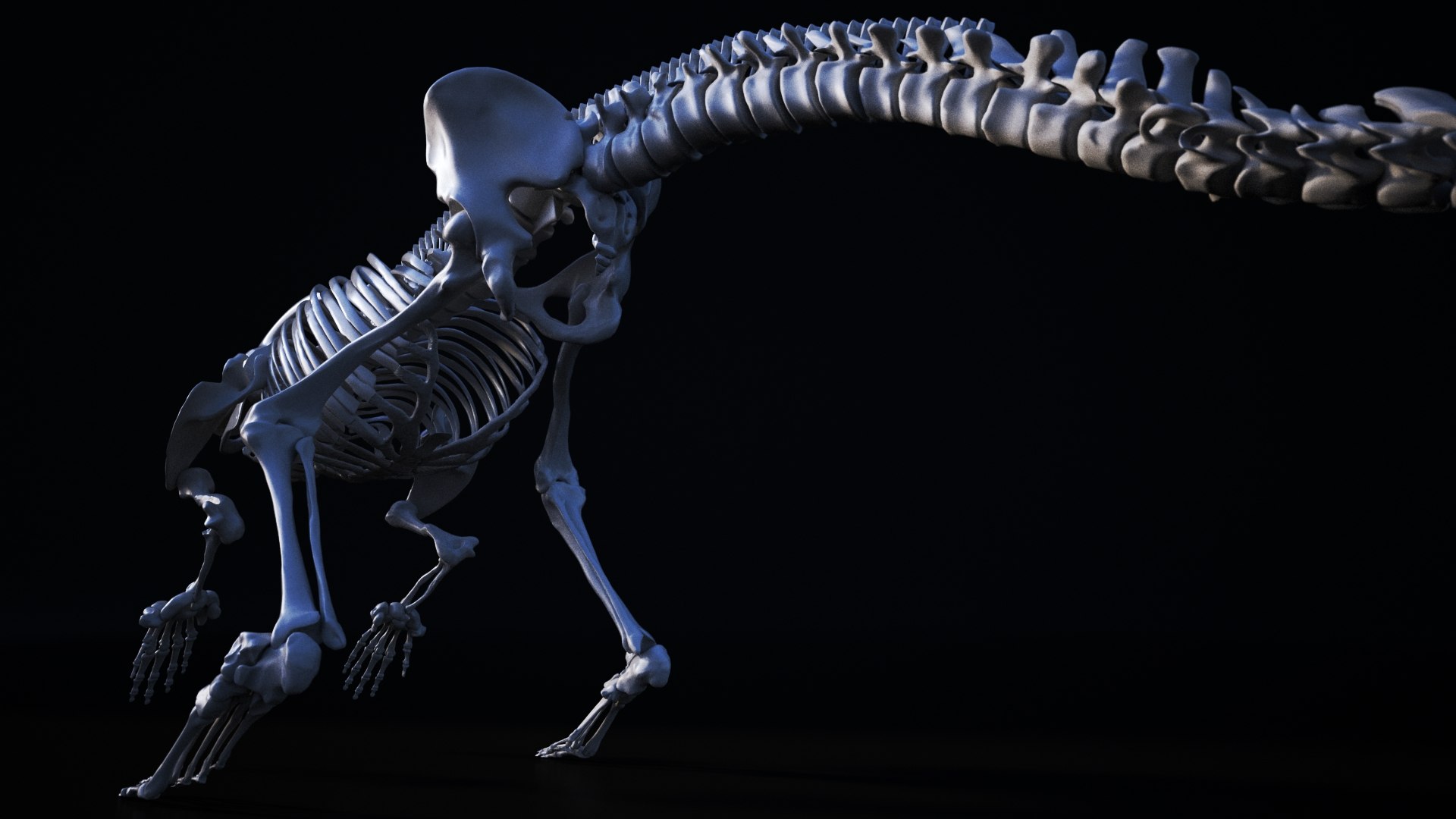 3D model Dinosaurbone https://p.turbosquid.com/ts-thumb/Fz/GMTcrZ/rp/dinosaurbone_02/jpg/1617699434/1920x1080/fit_q87/01c321e1a48a1047ce541780b7259ae04afc30f8/dinosaurbone_02.jpg