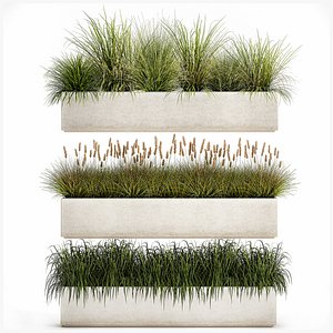 Potted reeds for landscaping 1075 3D model