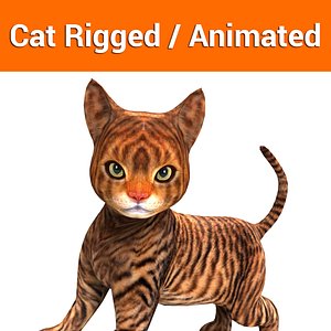 cat rigged animation 3D model