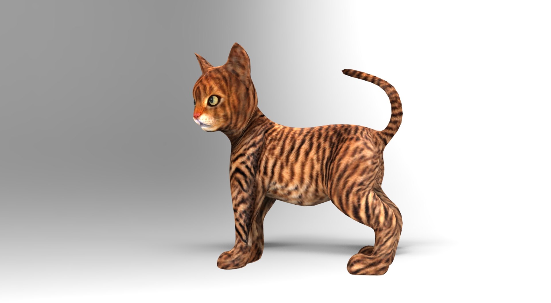 Cat rigged animation 3D model - TurboSquid 1204432