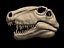 Dimetrodon Skull 3D print model