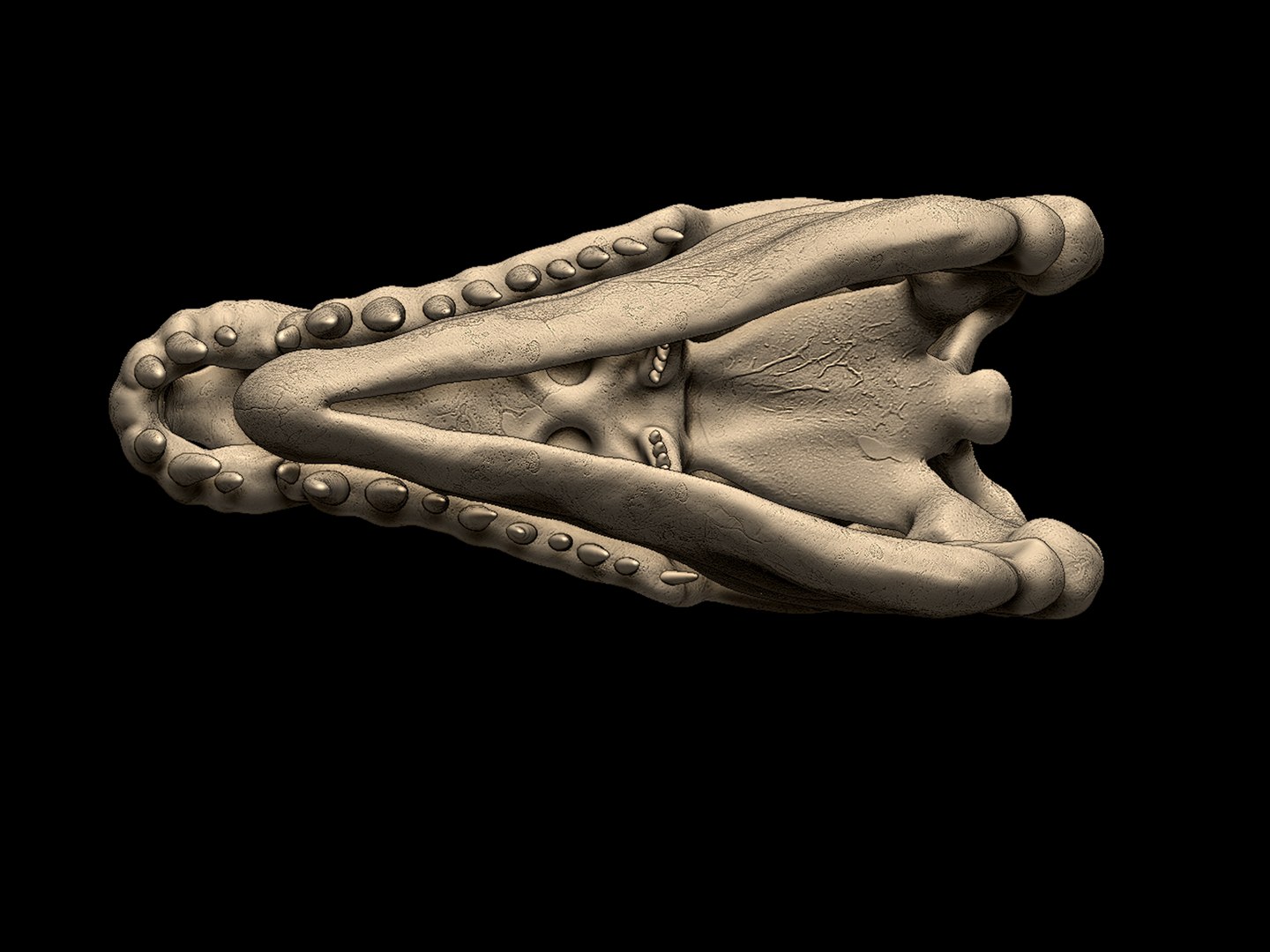 Dimetrodon Skull 3D print model 3D model https://p.turbosquid.com/ts-thumb/Fz/V2MlTy/6Q/4/png/1745351798/1920x1080/fit_q87/dd62695a6081c5075613d81ee17de9c708869e54/4.jpg