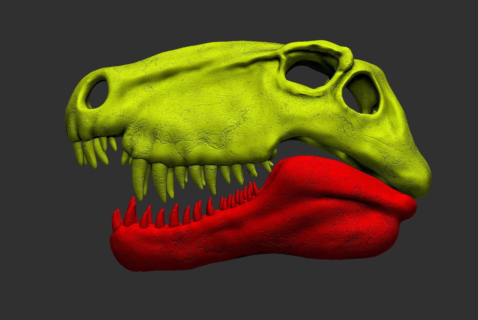 Dimetrodon Skull 3D print model 3D model https://p.turbosquid.com/ts-thumb/Fz/V2MlTy/93/7/png/1745351809/1920x1080/fit_q87/d4823ac755dd5bedcff60548e3d60c4a0829be1a/7.jpg