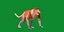 3D Proboscis Primate Monkey