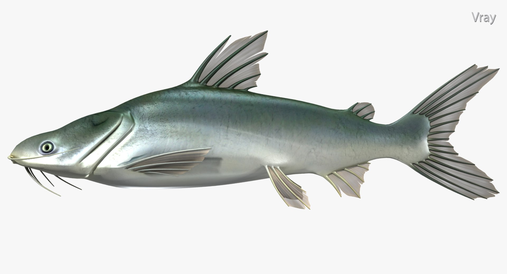 SELVA CATFISH SVC-742MH/CAT MajorCraft Sea Catfish Model