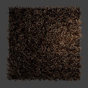Shaggy Rug