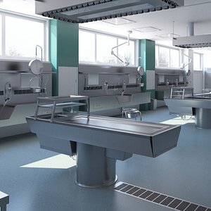 Medical Autopsy Area 3D model