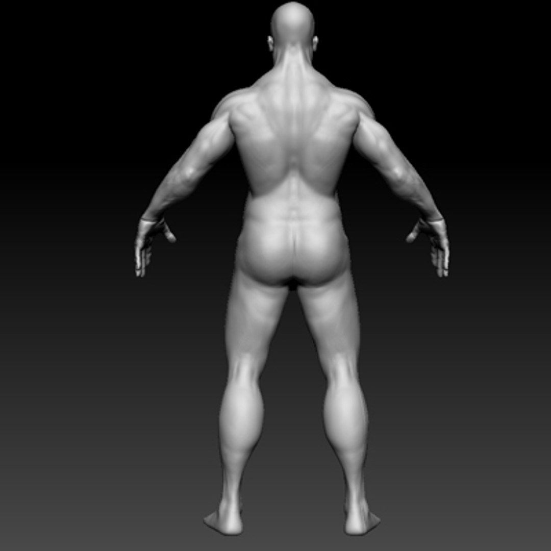 template muscle man 3d model https://p.turbosquid.com/ts-thumb/Fz/zugr0S/1QZF0ho9/details2/jpg/1267704031/1920x1080/fit_q87/8e8bffa8d01aac010a9e5f70ac1d7c6bcdc4af11/details2.jpg