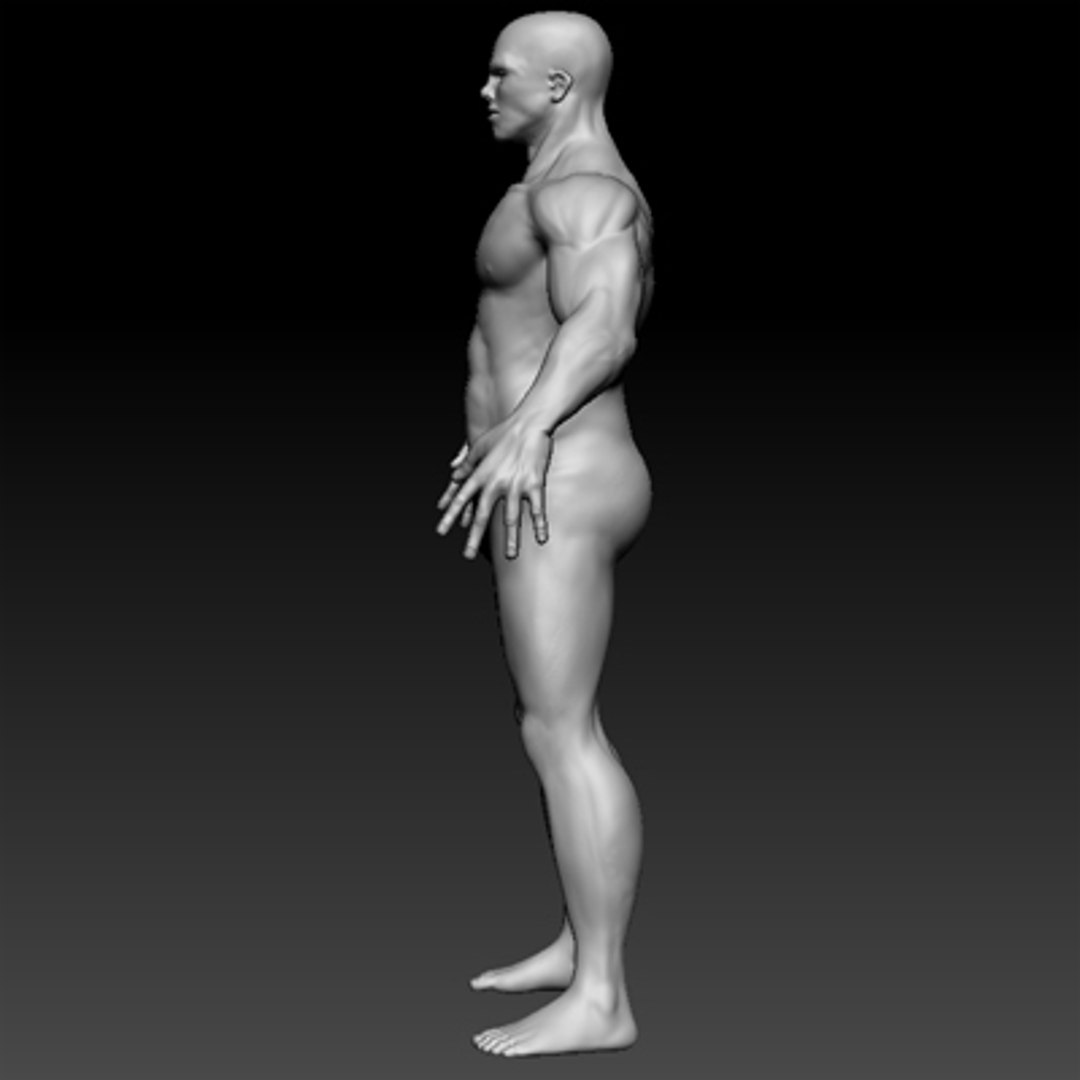 template muscle man 3d model https://p.turbosquid.com/ts-thumb/Fz/zugr0S/74atj7ML/details/jpg/1267704030/1920x1080/fit_q87/997e87cceed225f3c70f06cf5942c345288954bb/details.jpg