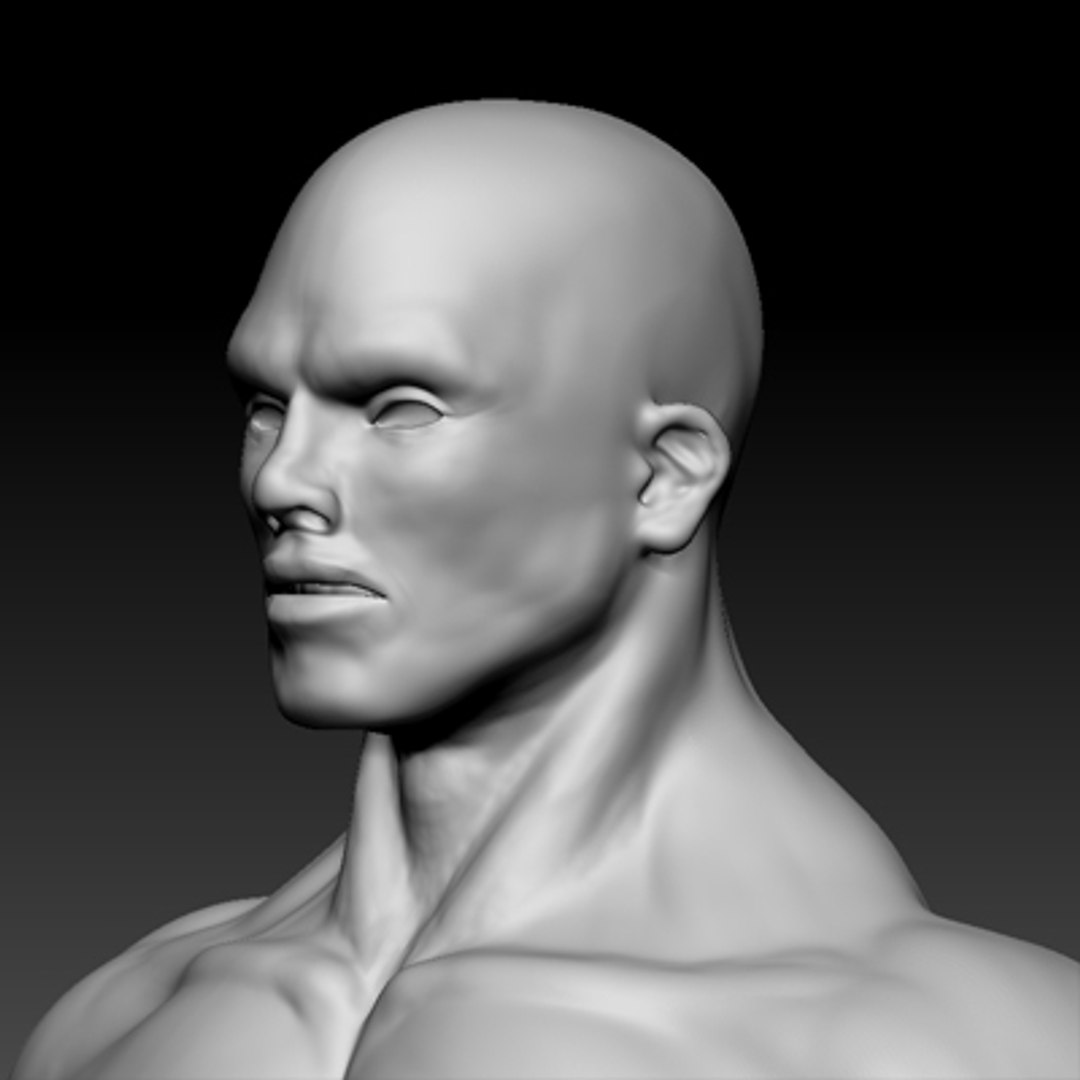 Template Muscle Man 3d Model