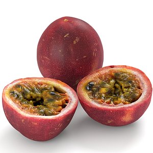 Passion Fruit - Photorealistic Scan model