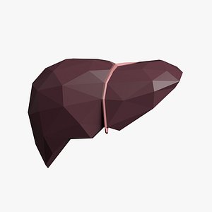 3D Stylized LowPoly Liver