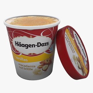 Haagen Dazs Macadamia Nut Brittle ice cream 3D model