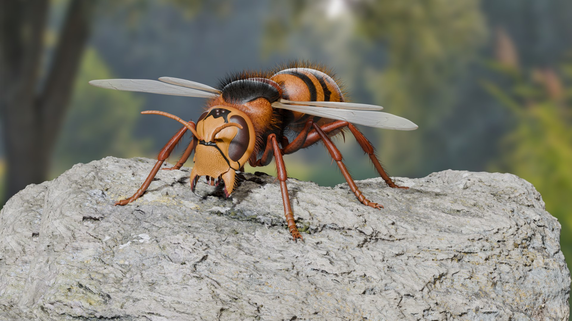 Hornet 3D model https://p.turbosquid.com/ts-thumb/G0/Emvr2g/7Y/untitled2/png/1754729585/1920x1080/fit_q87/5bb4fffcae9f7432a1a6f6b62e5a01447e56556c/untitled2.jpg