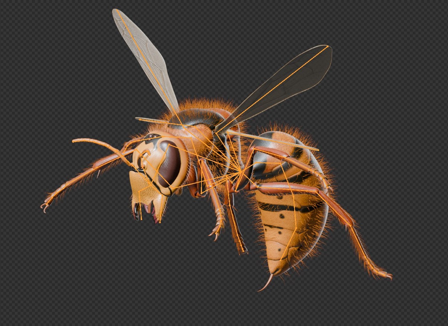 Hornet 3D model https://p.turbosquid.com/ts-thumb/G0/Emvr2g/Er/armature/jpg/1754729663/1920x1080/fit_q87/1e4c00f40c77dabc57c768dd6272d9d9954f8ec2/armature.jpg