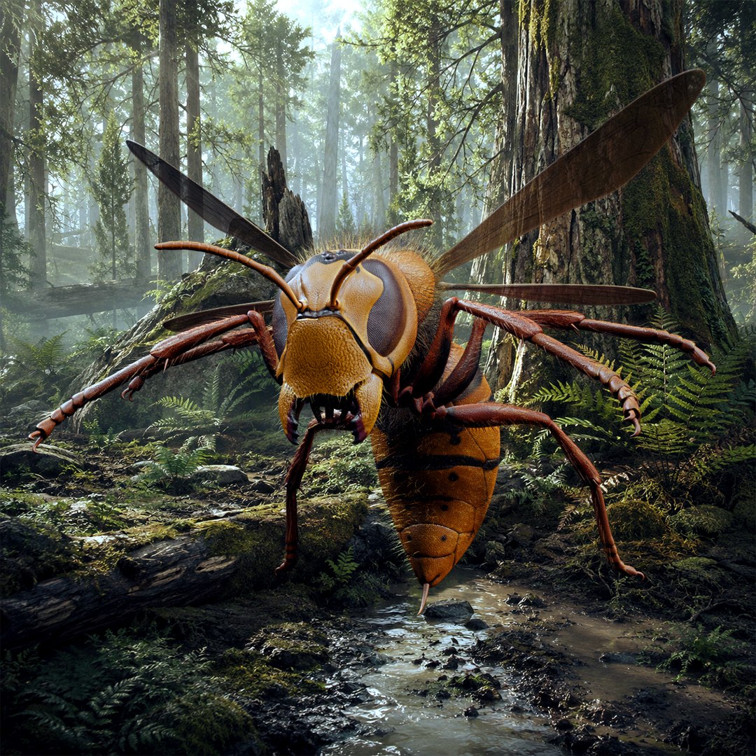 Hornet 3D model https://p.turbosquid.com/ts-thumb/G0/Emvr2g/mS/attack2/png/1790403337/1920x1080/fit_q87/a0d2d51abe528bb200ccc5d64a343d74bb3aa8ae/attack2.jpg
